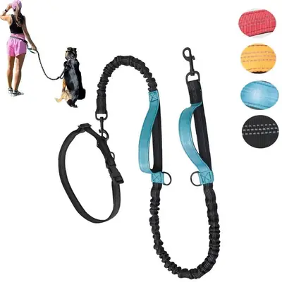 Anti-Escape Retractable Dog Walking Leash Belt Black Green