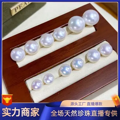 Natural Freshwater Pearl Round Earrings High-End S925 Silver