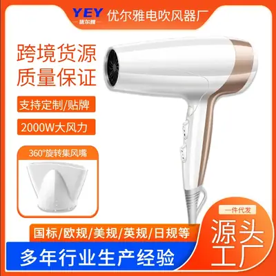 Cross-Border Hair Dryer Rose Gold 4D Blue Light