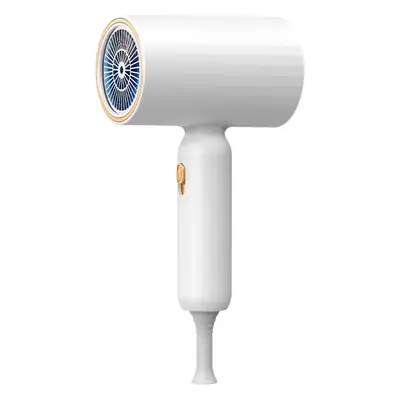Portable Hair Dryer with Strong Wind & Blue Light