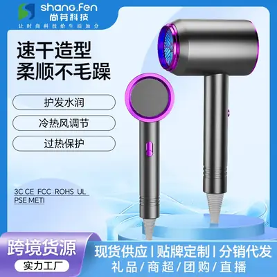 High-Power Hair Dryer with Negative Ion & Cold Air