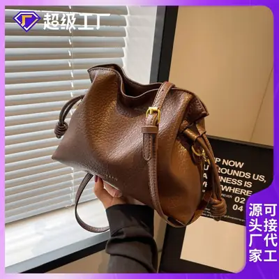 Brown Pleated Shoulder Bag for Women 2023