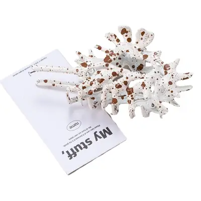 Multi-Color Shark Clip Hairpin with High-End Design