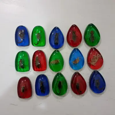 True Insect Specimen Resin Amber Pendants