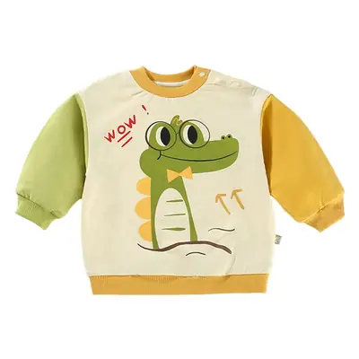 Boys Dinosaur Elephant Long Sleeve Sweatshirt