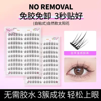 Glue-Free Sunflower False Eyelashes Quick Apply