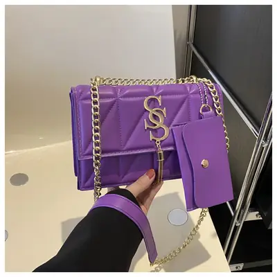 Black Chain Crossbody Bag for Women 2024 Spring