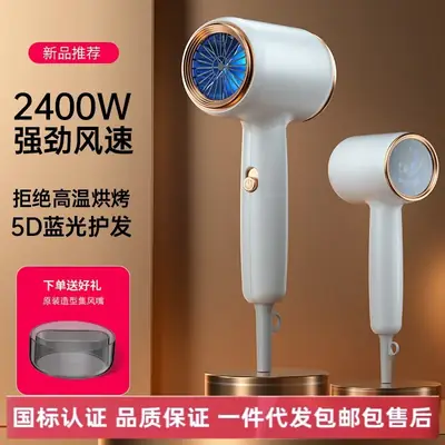 High-Power Hair Dryer with Blue Light & Negative Ion Technology