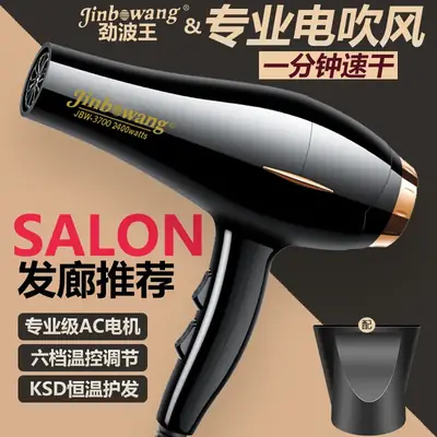 Jin Bo Wang 3700 Hair Dryer with Cold/Hot Wind Control