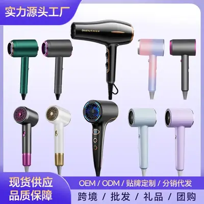 2400W Cross-Border Hair Dryer with Cold/Hot Air & Negative Ion