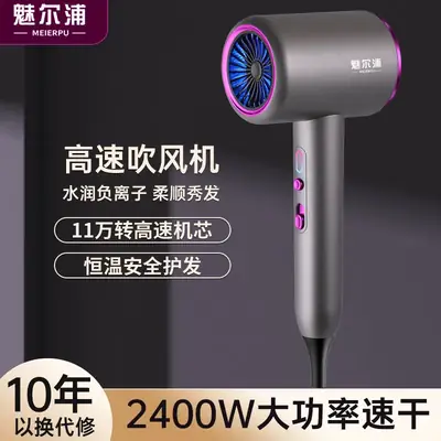 High Power Negative Ion Hair Dryer for Home & Salon