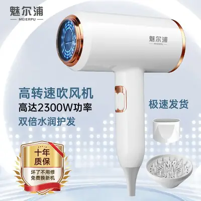 High-Speed Hair Dryer for Salon & Home Use