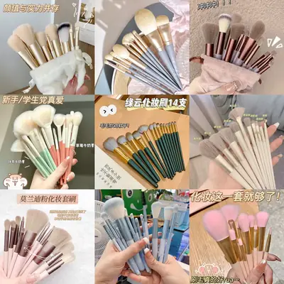 13-Piece Makeup Brush Set with Loose Powder & Blush Brushes
