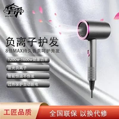 Net Red Hair Dryer with Negative Ion Technology 1200W