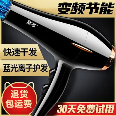 Negative Ion Hair Dryer with Big Wind & Blue Light
