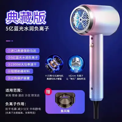 Blue Light Negative Ion Hair Dryer Quick Cold Warm Switch
