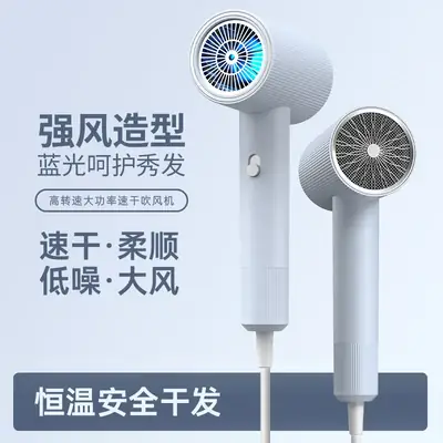 Intelligent Hair Dryer with Blue Light & High Wind