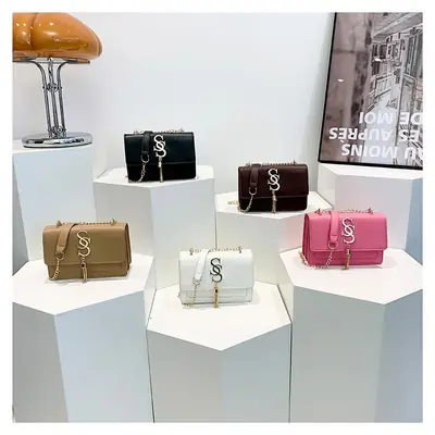 Stylish Brown Chain Crossbody Bag for Women 2024