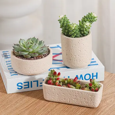Cross-Border Hot Selling Custard Creative Stone Pattern Cement Succulent Flower Pot Office Home Desktop Green Plant Flower Pot Manufacturer Wholesale
