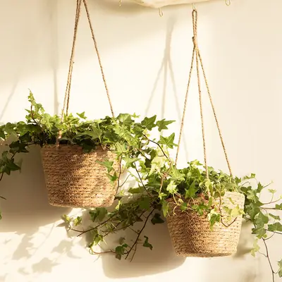 Hanging Baskets, Straw Woven Flower Pots, Creative Hanging Baskets, Rattan Woven Flower Baskets, Hanging Green Plants, Wall-Mounted Woven Flower Pots, Green Plants