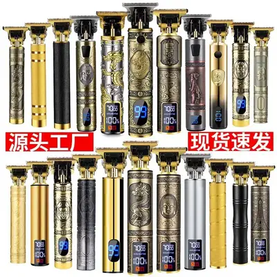 Professional Electric Clipper with Oil & Brushes