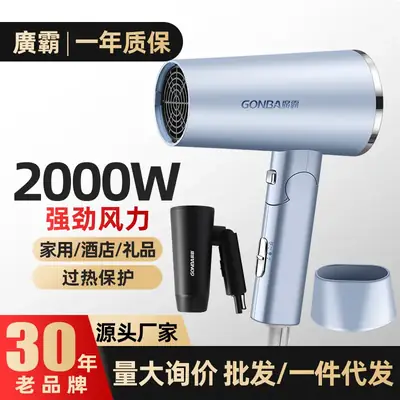 Folding Portable Hair Dryer High Power Negative Ion