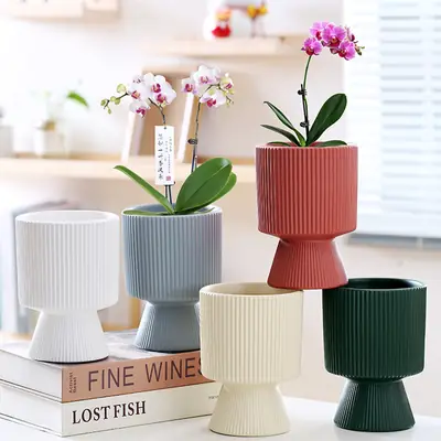 A generation of cross-border Amazon TEMU ceramic flower pot with tray European simple green plant large butterfly orchid basin
