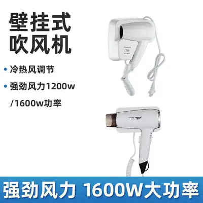 Wall-Mounted Hair Dryer 1600W 1200W Cross-Border