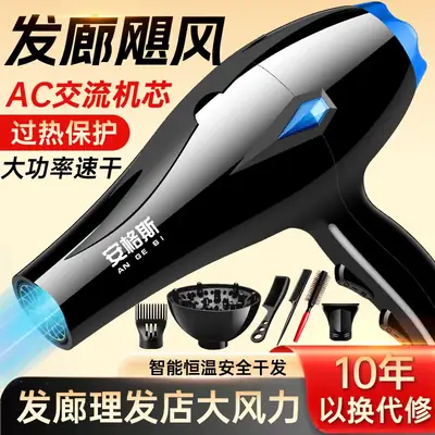 Cross-border Hair Dryer Cold Hot Negative Ion Net Red