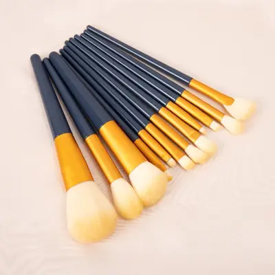 12 Pcs Makeup Brushes Set for Blush, Eyeshadow, Eye Makeup