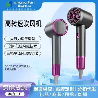 Shana Fen High Speed Hair Dryer with Cold Wind & Touch Control