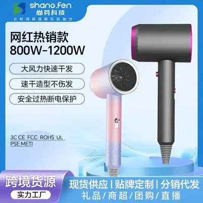 Cross-Border Hair Dryer Blue Light Negative Ion