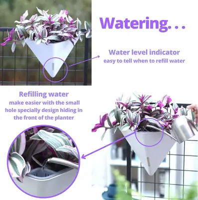 Cross-Border Specially Designed for Oulinze Plastic Wall-Mounted Flower Pots, Household Self-Watering, Self-Absorbing Pots, Gardening Simple Lazy Flower Pots