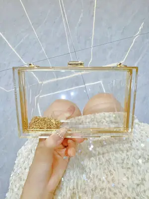 Transparent Square Crossbody Bag for Women