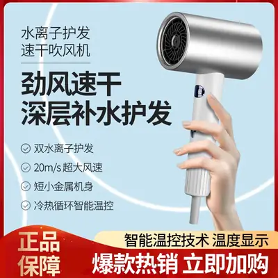 High-Speed Hair Dryer with Negative Ion & Warm Light