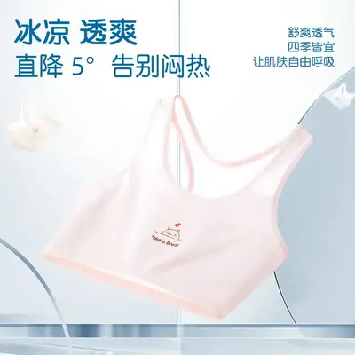 Pink Anti-Bump Mesh Underwear for Girls 8-12 Years