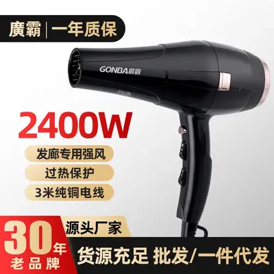 Negative Ion Hair Dryer for Frizz Control High Power
