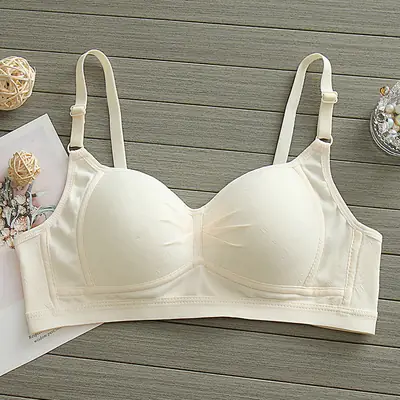 Pure Cotton Thin Underwear Female College Students Junior High School Students High School Girls Small Chest Gathering Anti-sagging Girly Bra