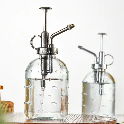 Transparent raindrop glass watering can 350ml desktop gardening potted fleshy watering can watering tools factory wholesale
