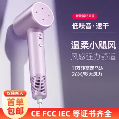 Cross-Border Hair Dryer Fast Drying Negative Ion