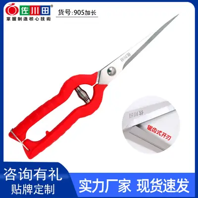 Sagawa Tian 905 Longer Pruning Shears Branch Shears Fruit Picking Shears Fruit Picking Shears Stainless Steel Garden Scissors
