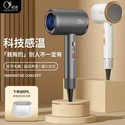 Hair Dryer with Negative Ions & Strong Wind