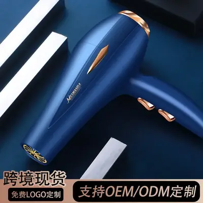 Blue Professional Hair Dryer with Strong Wind & Light Output