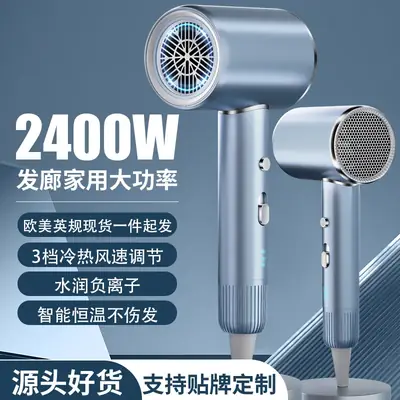 2400W High-Speed Hair Dryer with Blue Light & 110V