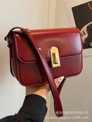 Women's Brown Crossbody Bag 2024 New Trendy Autumn Easiest for Match Ins Shoulder Small Bag
