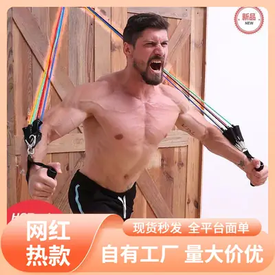 Portable Household 11 Piece Set Tally Rope suit Training Set Elaine Rope Fitness Men's Door Resistance Belt