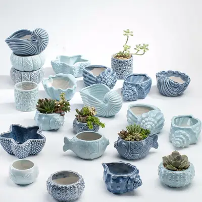 Ocean Fleshy Flower Pot Ornaments Cute Cartoon Whale Shell Meat Plant Small Flower Pot Cross-border Special for Wholesale