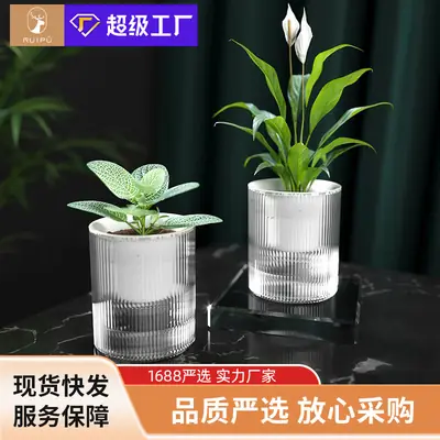 Lazy Green Pot Automatic Absorbent Flower Pot Transparent Plastic Hydroponic Hydroponics Special Flower Pot for Office and Hotel