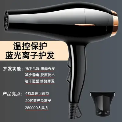 Hair Dryer with 6 Speed Temp Control & Wind Mode