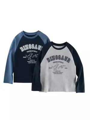 Big Dinosaur Kids Long Sleeve T-Shirt Grey Blue